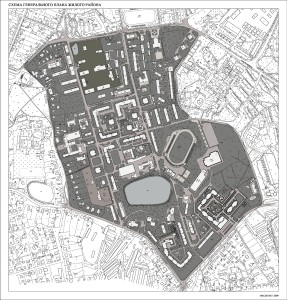 Денисова 2007-2