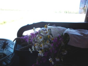 2014. Раифа — Казань0