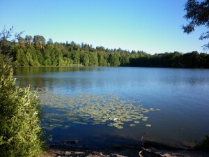 2014. Раифа — Казань1