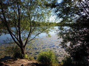 2014. Раифа — Казань2