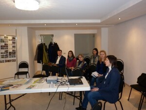 Соколова Н.В. 2017-3